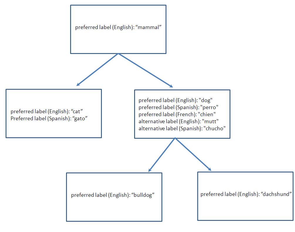 Sample concepts relationship in SKOS