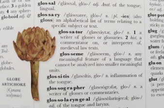 glossary in dictionary